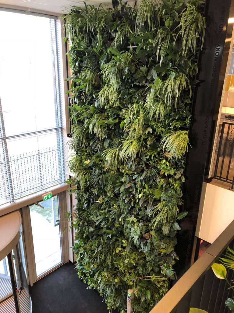 NextGen Living Walls