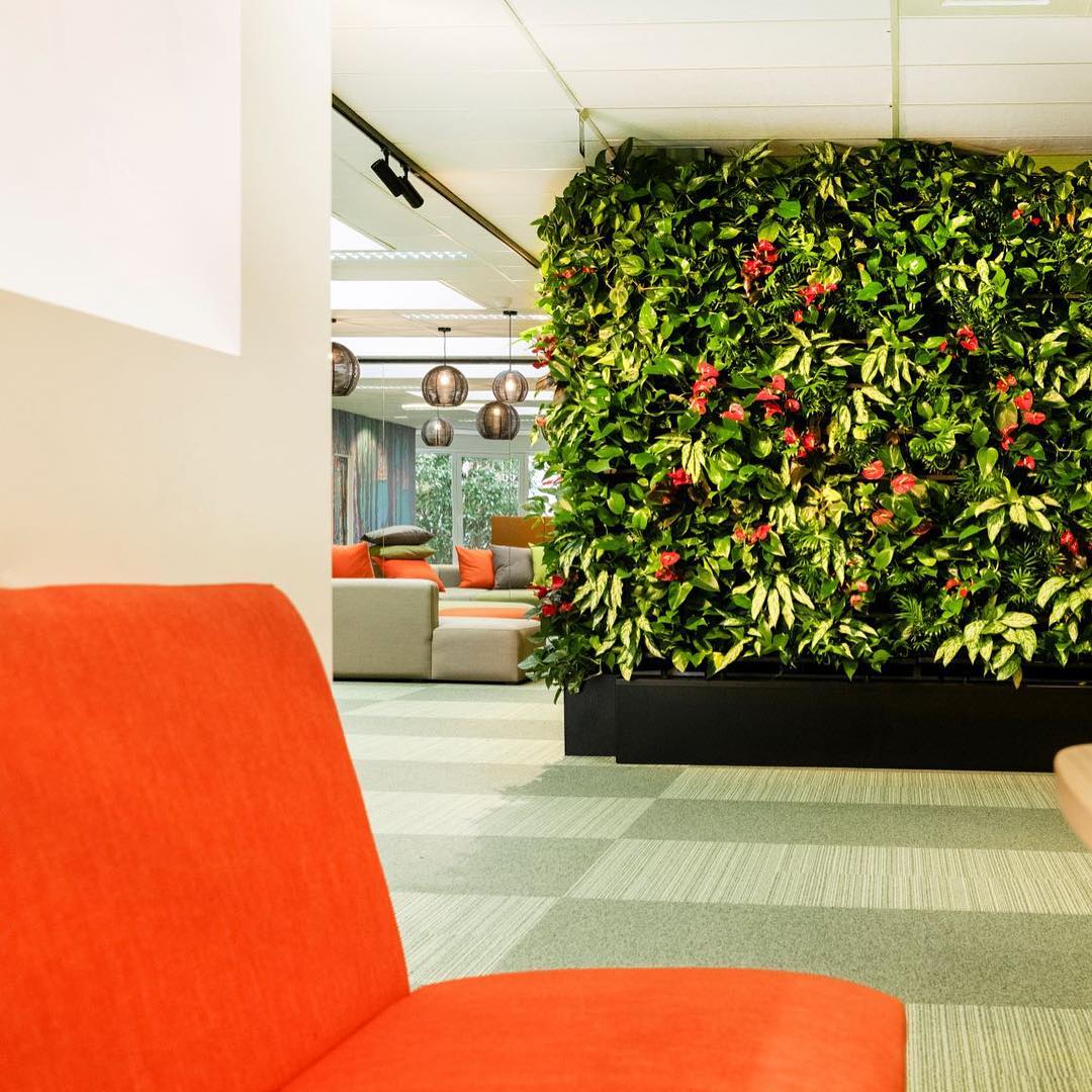 NextGen LIVING WALLS