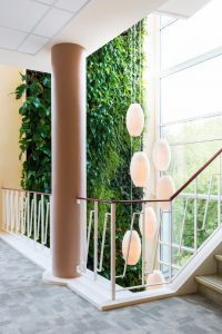 NextGen Living Walls