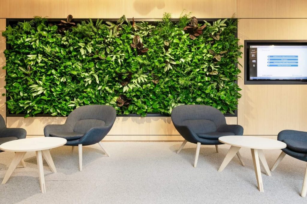 NextGen Living Walls