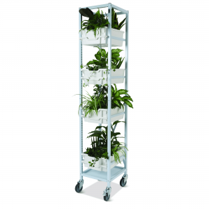 torre de plantes